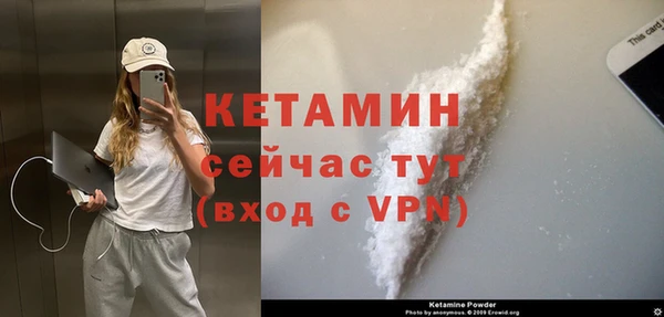 крисы Алексин
