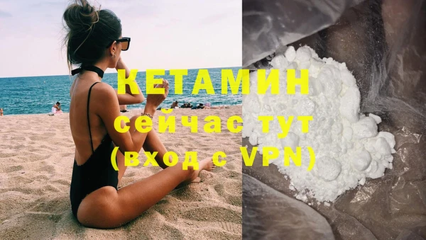 крисы Алексин