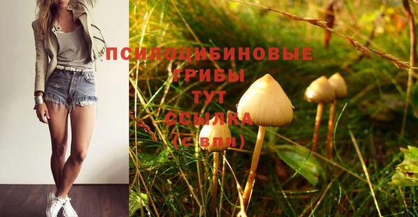 кристаллы Алзамай